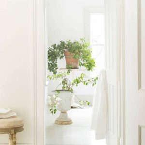 Benjamin Moore Simply White